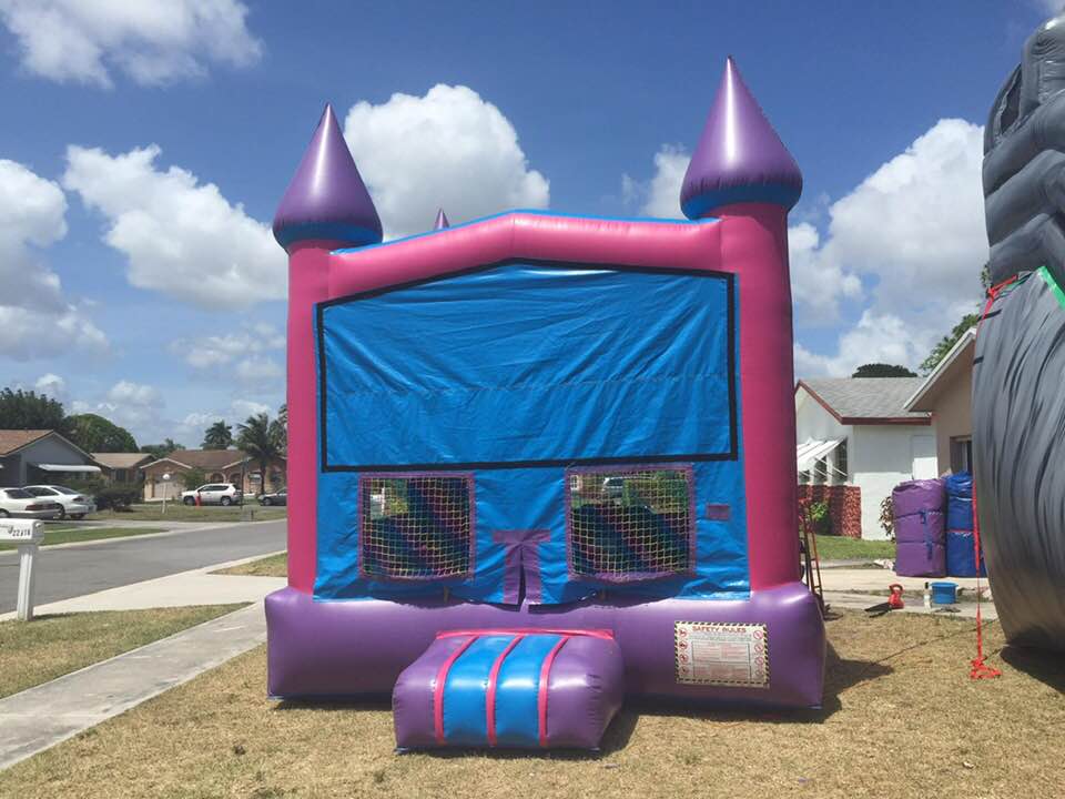 PINK & BLUE CASTLE (NO THEME)