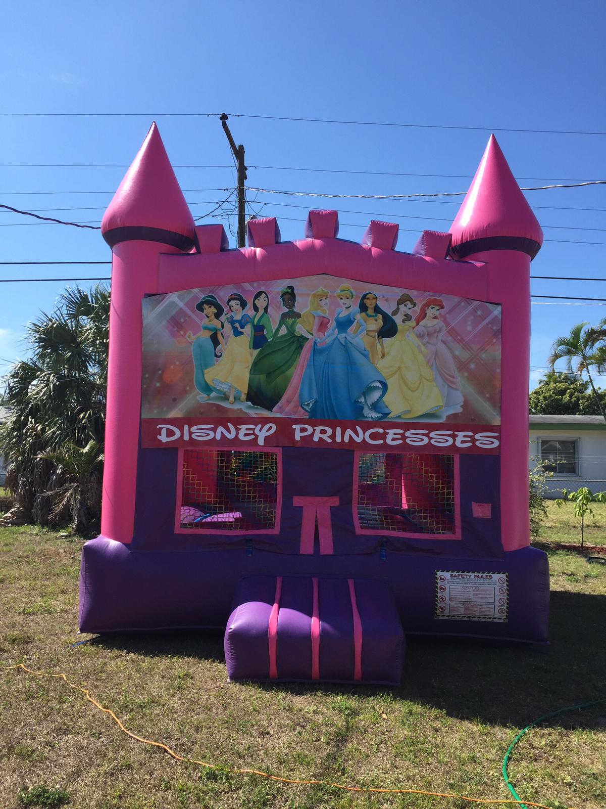 PINK CASTLE (DISNEY PRINCESS THEME)