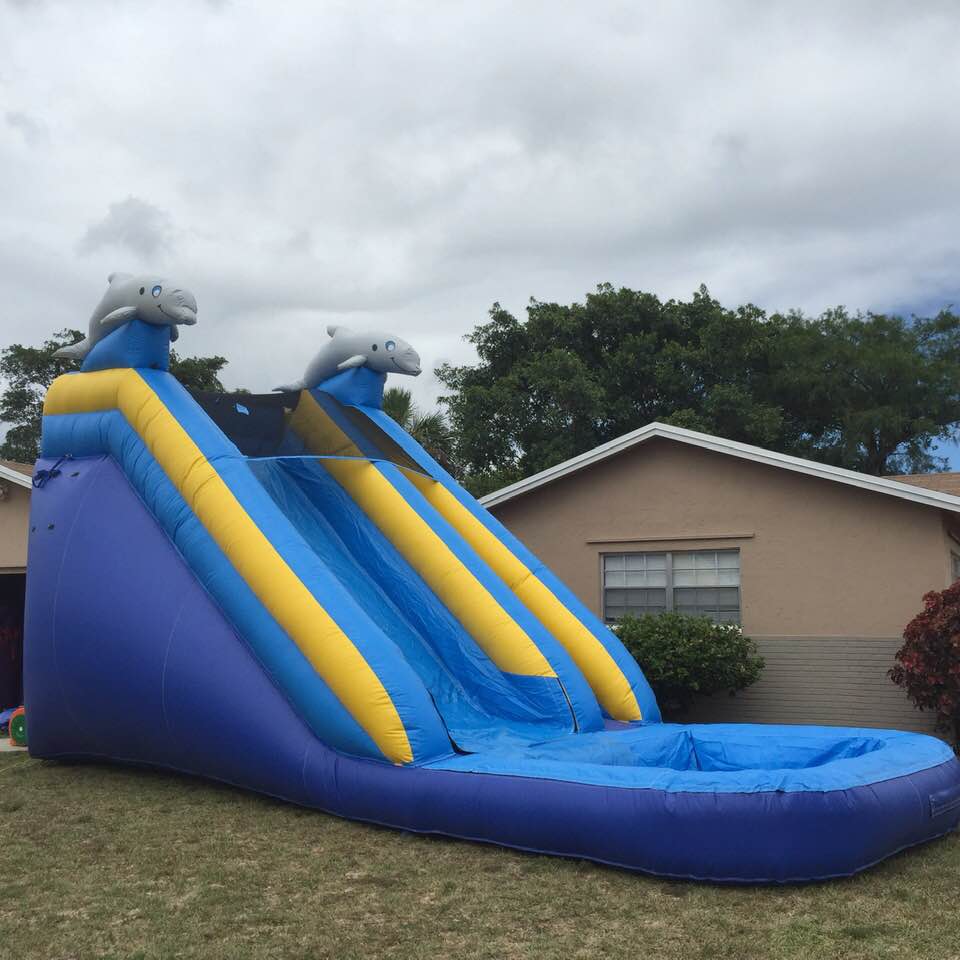 DOLPHIN WATER SLIDE 16'
