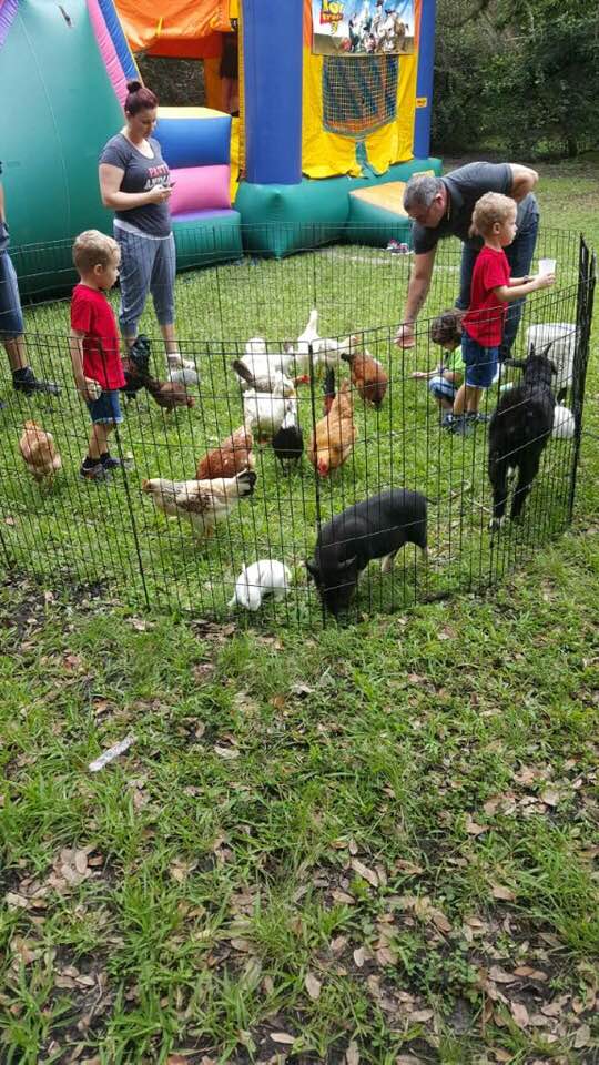 Petting Zoo