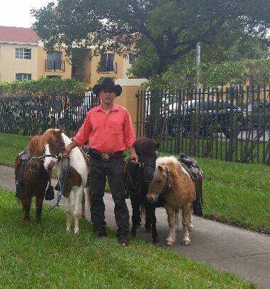 Regular Ponies