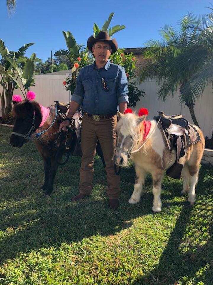 Decorated Ponies