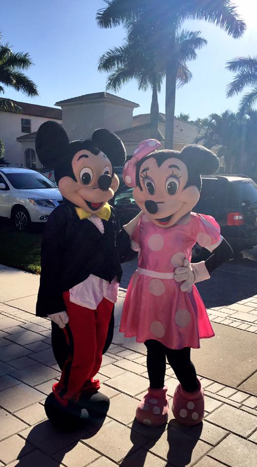 Mouse & Pink Mouse