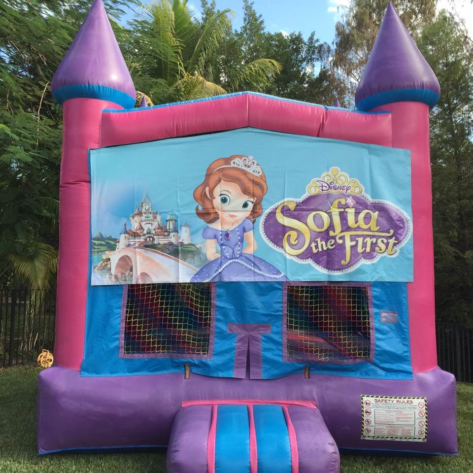 PINK & BLUE CASTLE (SOPHIA THE FIRST THEME)