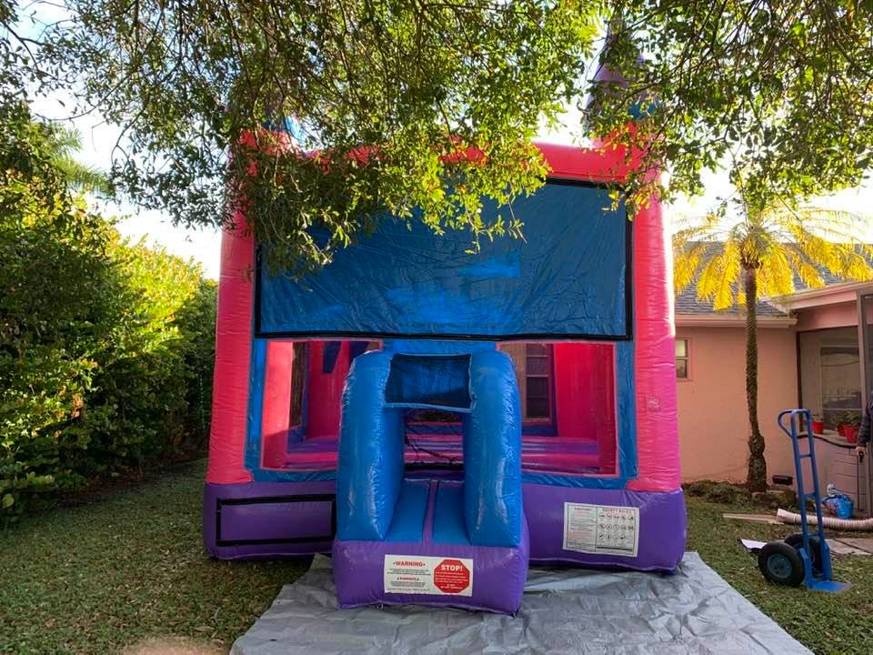 PINK CASTLE NEW