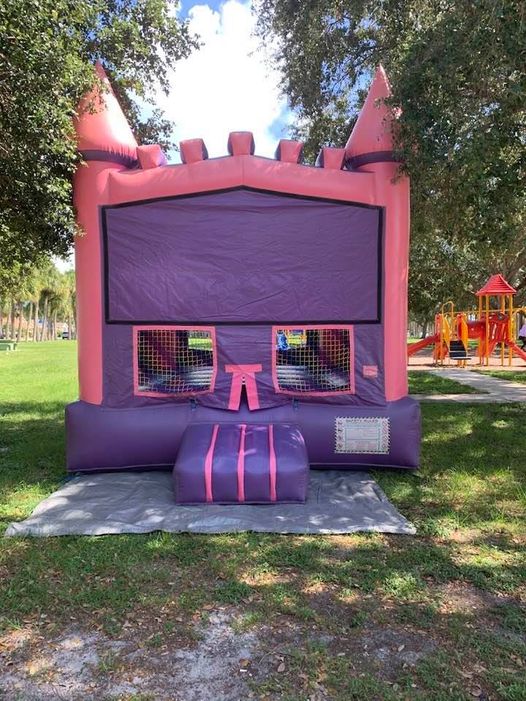 PINK CASTLE (NO THEME)