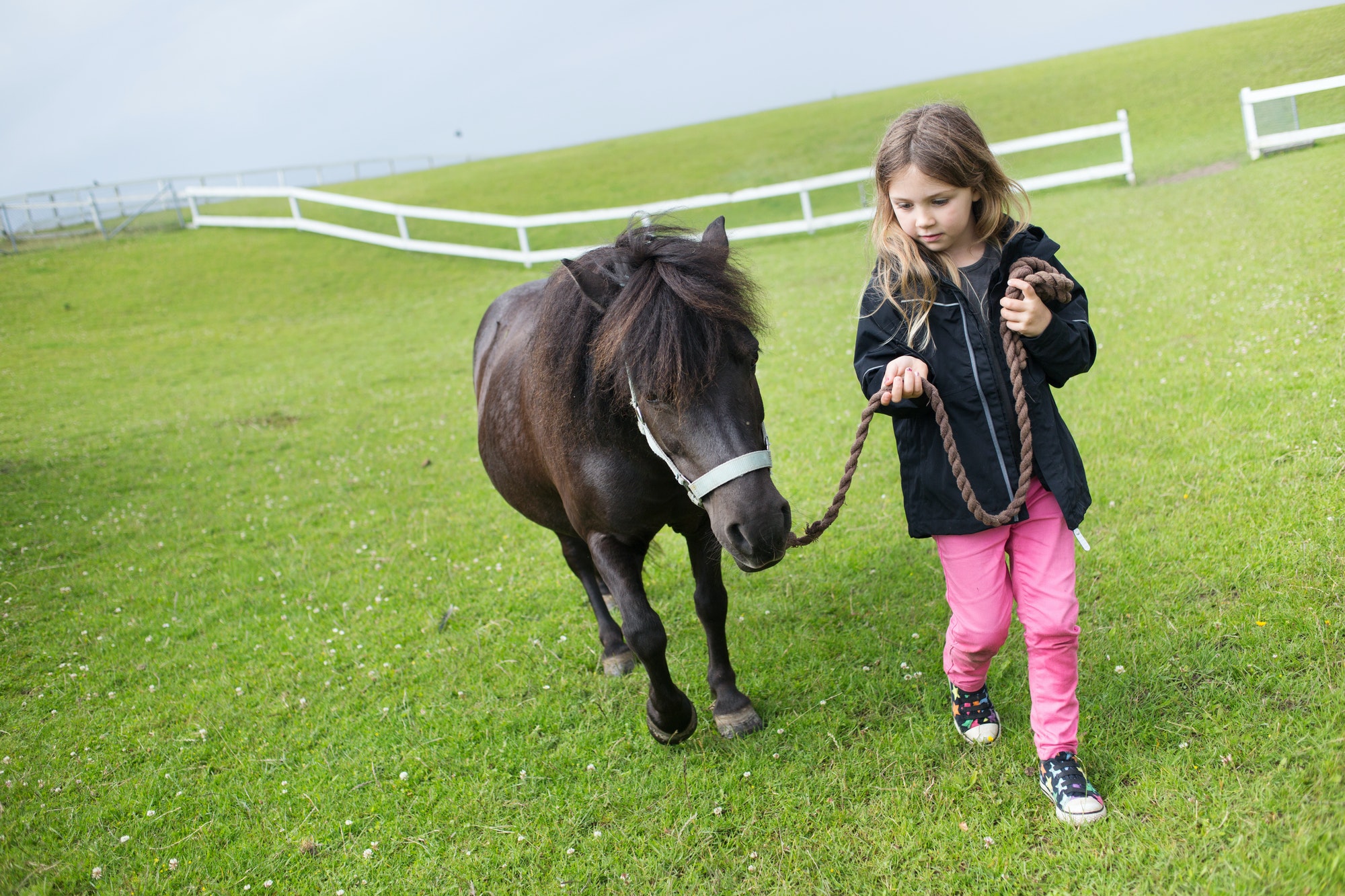 Girl (4-5) walking with pony